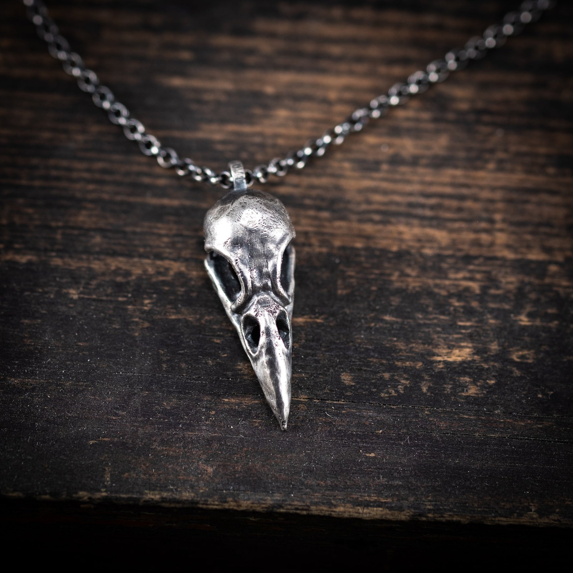 Silver Raven Skull Pendant Necklace – Gothic Bird Skull Jewelry for Men, Unique Gift for Nature and Mysticism Lovers