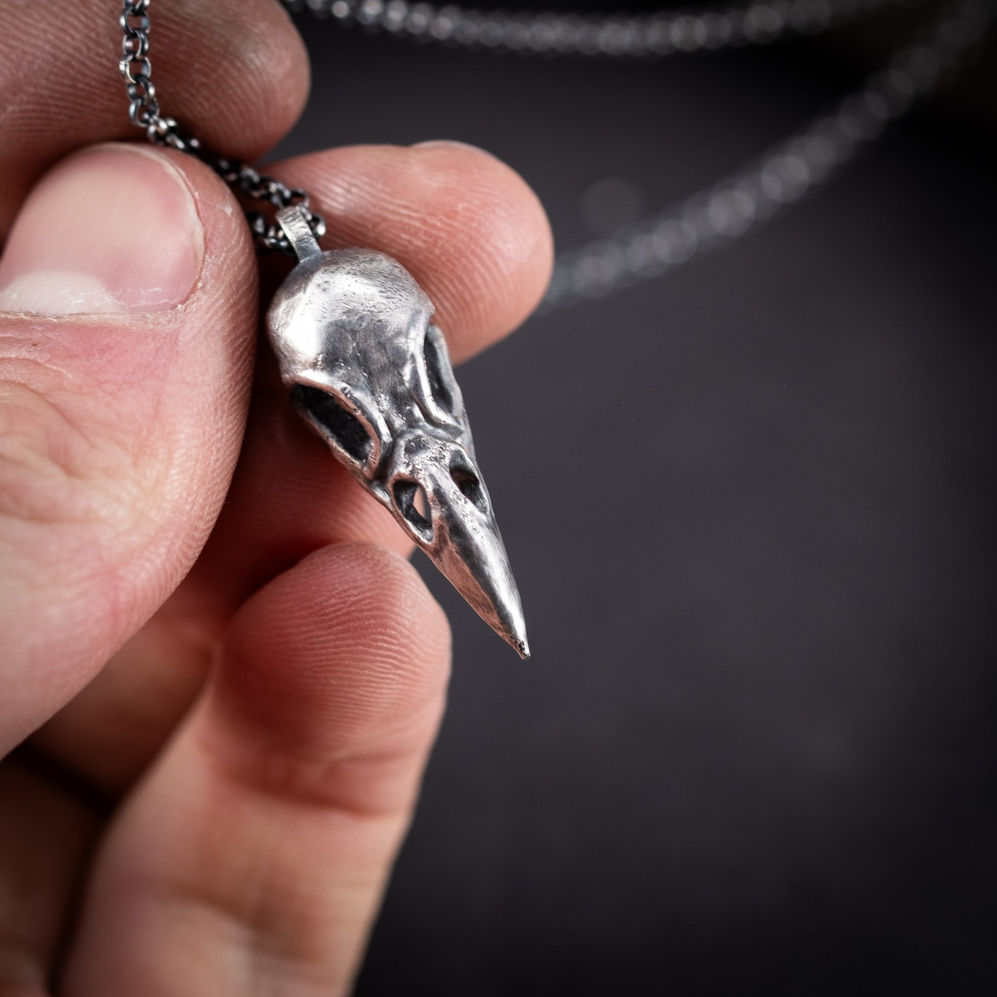 Silver Raven Skull Pendant Necklace – Gothic Bird Skull Jewelry for Men, Unique Gift for Nature and Mysticism Lovers