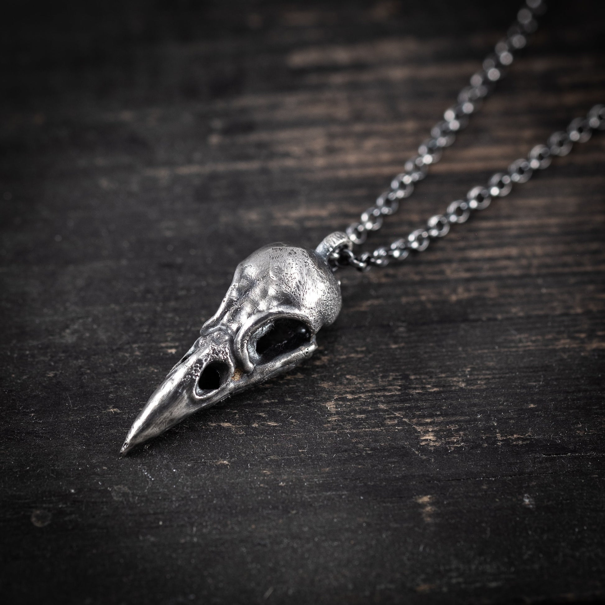 Silver Raven Skull Pendant Necklace – Gothic Bird Skull Jewelry for Men, Unique Gift for Nature and Mysticism Lovers