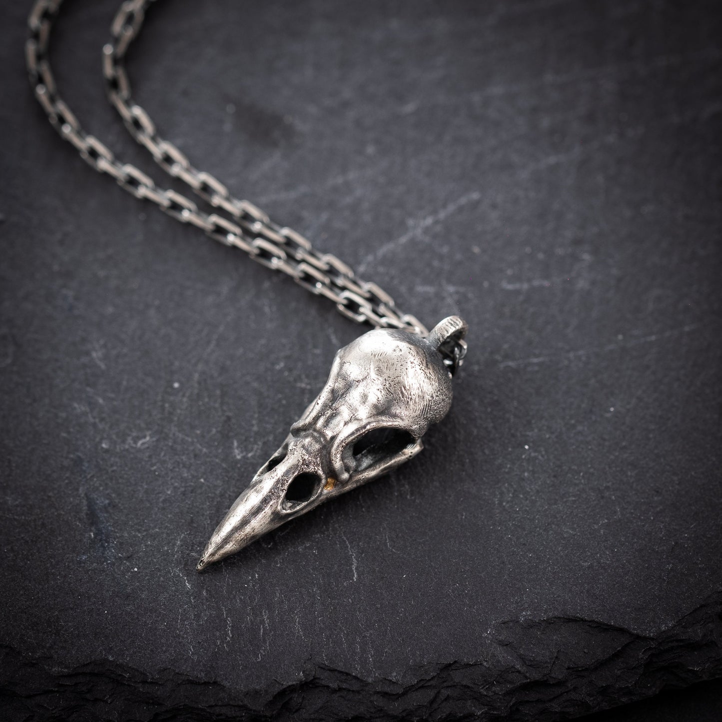 Silver Raven Skull Pendant Necklace – Gothic Bird Skull Jewelry for Men, Unique Gift for Nature and Mysticism Lovers