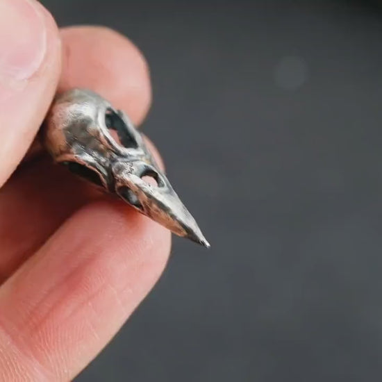 Silver Raven Skull Pendant Necklace – Gothic Bird Skull Jewelry for Men, Unique Gift for Nature and Mysticism Lovers