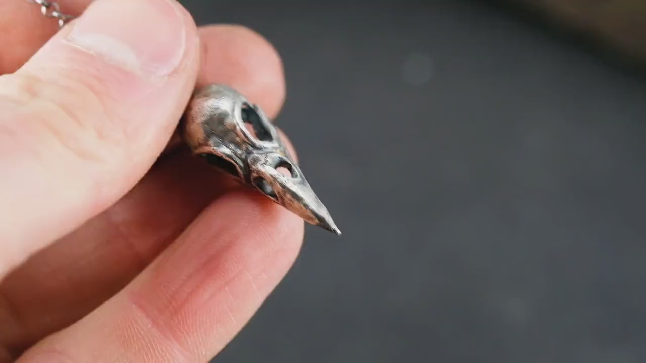 Silver Raven Skull Pendant Necklace – Gothic Bird Skull Jewelry for Men, Unique Gift for Nature and Mysticism Lovers